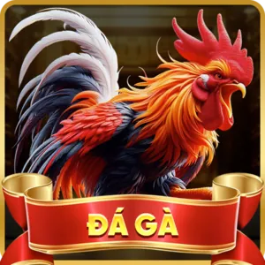 Giải quyết vấn đề nhanh chóng tại daga68 app