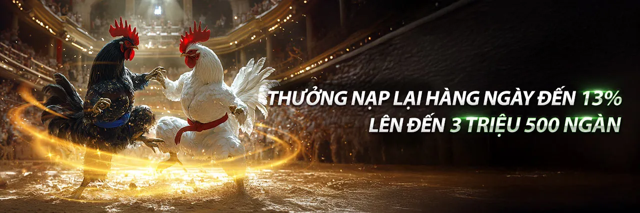 Tổng quan về blog Daga68 App, tin tức và hướng dẫn cá cược mới nhất